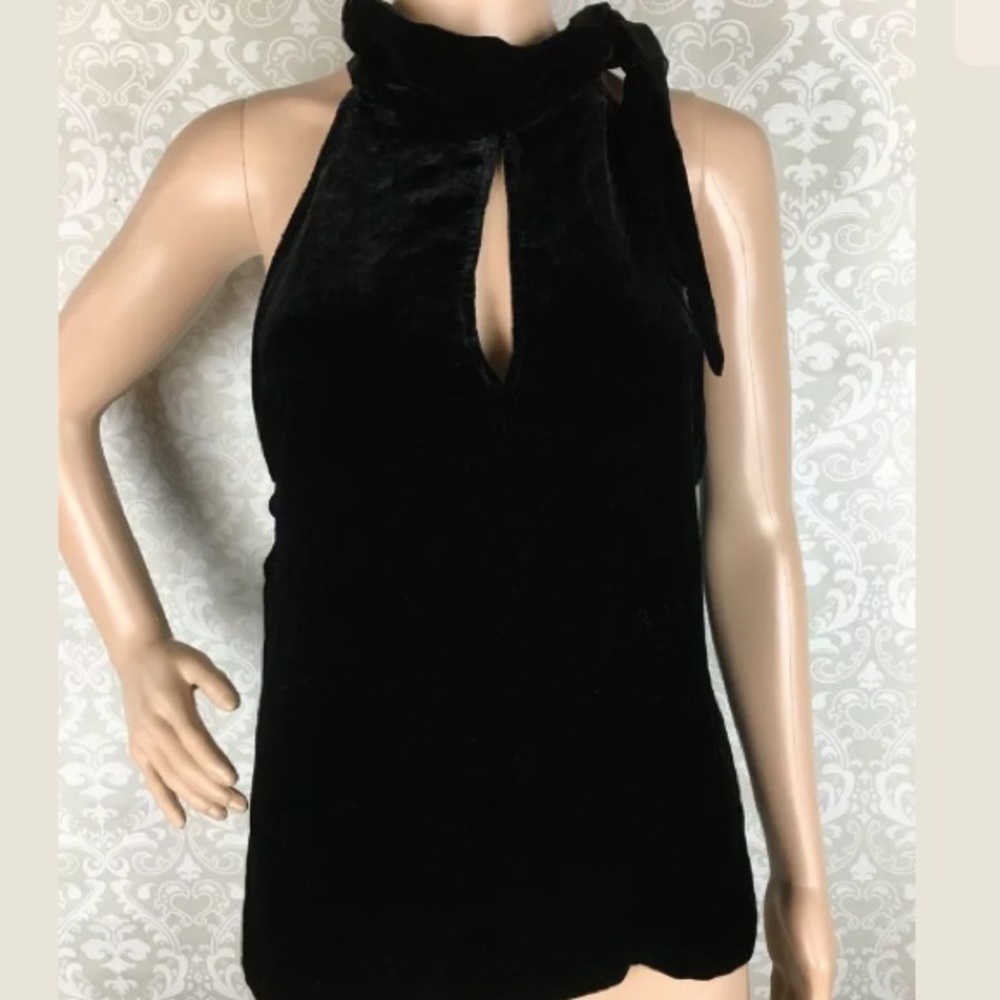 7 for all Mankind Velvet Neck Tie Blouse